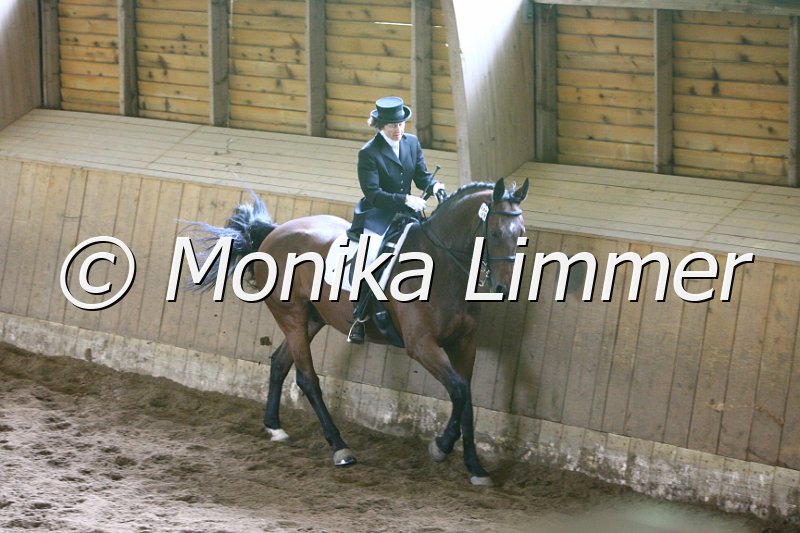 006M5566_Dressurpferde L.JPG